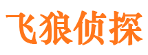 岳阳楼寻人公司